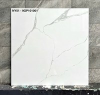 Gạch Viglacera 100x100 NY51-9GP101001