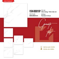 Gạch lát nền Việt Ý 80x80 bóng VSM-G88010P