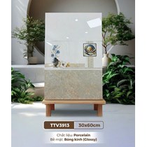 Gạch ốp tường Hà Thanh 30x60 TTV3913