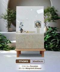 Gạch ốp tường Hà Thanh 30x60 TTV3913