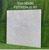 Gạch lát nền Tasa 80x80 bóng FST.9234