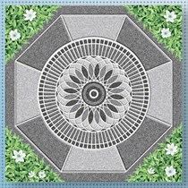 Gạch sân vườn giá rẻ 50x50 IHSMN 5524