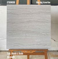 Gạch lát nền Ý Mỹ 60x60 mờ GT66M09B