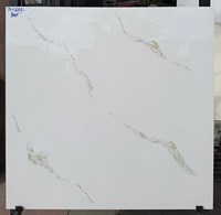 Đá bán sứ bóng kính giá rẻ 60x60 PH602