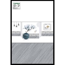 Gạch ốp tường giá rẻ 30x60 A36000