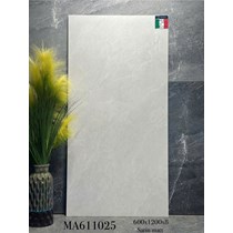 Gạch ốp lát Apodio 60x120 mờ MA611025