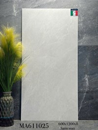 Gạch ốp lát Apodio 60x120 mờ MA611025
