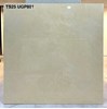 Gạch lát nền Viglacera 80x80 bóng TS25 UGP801