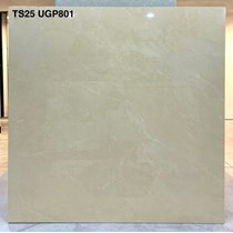 Gạch lát nền Viglacera 80x80 bóng TS25 UGP801