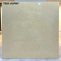 Gạch lát nền Viglacera 80x80 bóng TS25 UGP801