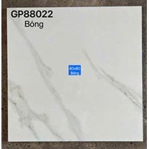 Gạch lát nền Taicera 80x80 GP88022