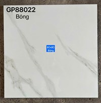 Gạch lát nền Taicera 80x80 GP88022