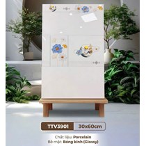 Gạch ốp tường Hà Thanh 30x60 TTV3901