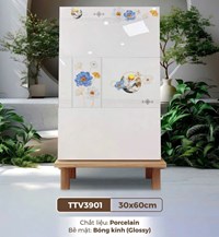 Gạch ốp tường Hà Thanh 30x60 TTV3901