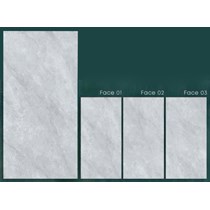 Gạch CMC 60x120 MPD61206