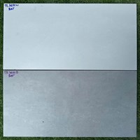Đá ốp tường Vitaly 30x60 mờ TK3601N-TK3601D