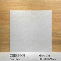 Gạch lát nền Apodio 80x80 mờ C88SP609