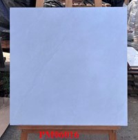 Gạch lát nền Ý Mỹ 60x60 mờ PM06016