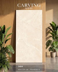 Gạch Ấn Độ 60x120 mờ 3404