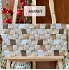 Gạch trang trí 3D Ấn Độ 30x60 3809BR