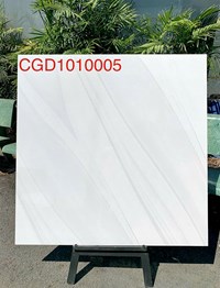 Gạch lát nền CMC 100x100 CGD1010005S2