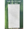 Gạch Tasa 60x120 mờ FST.1863