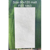 Gạch Tasa 60x120 mờ FST.1863