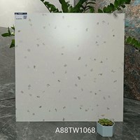 Gạch lát nền Apodio 80x80 mờ A88TW1068