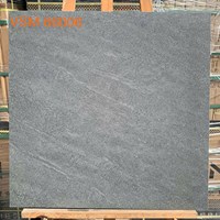Gạch lát nền Granite Vitaly 60x60 mờ VSM 66006