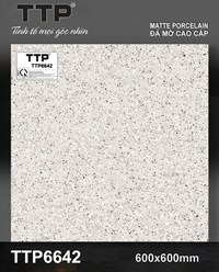 Gạch lát nền Tô Thành Phát 60x60 mờ TTP6642