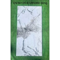 Gạch ốp lát Apodio 60x120 61285060
