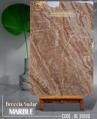 Gạch Apodio 80x120 bóng BL81809