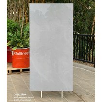 Gạch Tasa 90x180 bóng 2901