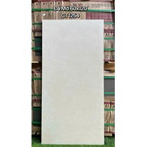 Gạch ốp lát Á Mỹ 60x120 mờ CT1254