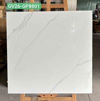 Gạch lát nền Viglacera 80x80 bóng GV26-GP8801