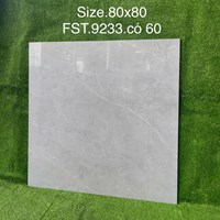 Gạch lát nền Tasa 80x80 bóng FST.9233
