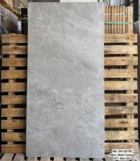 Gạch Việt Ý 60x120 mờ G61201M