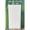 Gạch Tasa 60x120 mờ FST.1864