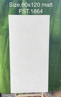 Gạch Tasa 60x120 mờ FST.1864