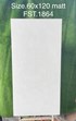 Gạch Tasa 60x120 mờ FST.1864