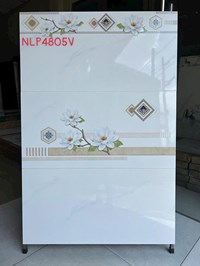 Gạch ốp tường Hà Thanh 40x80 NLP4805V