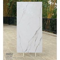 Gạch Tasa 90x180 bóng 9712