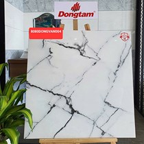 Gạch Đồng Tâm 8080DONGVAN004