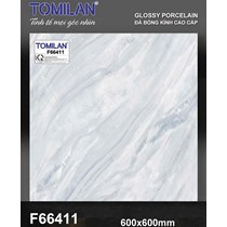 Gạch lát nền Tô Thành Phát 60x60 bóng F66411