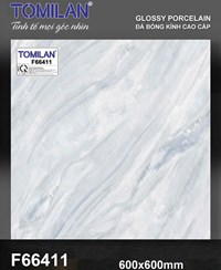 Gạch lát nền Tô Thành Phát 60x60 bóng F66411