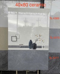Gạch ốp tường Tasa 40x80 TS 4369-4370-4371