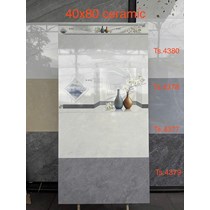 Gạch ốp tường Tasa 40x80 TS 4380-4378-4377-4379