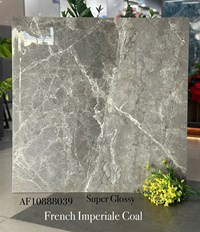 Gạch lát nền Apodio 80x80 AF10888039