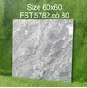 Gạch lát nền Tasa 60x60 bóng FST.5782