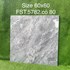 Gạch lát nền Tasa 60x60 bóng FST.5782